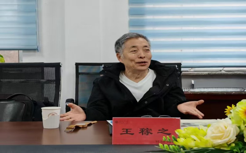 2.王稼之教授讲话.jpg